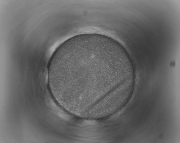 X0000111641509200908141355