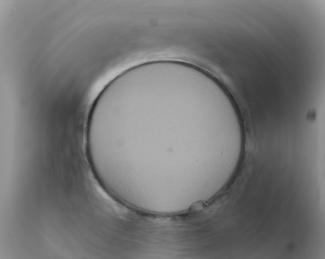 X0000111641512200908141355