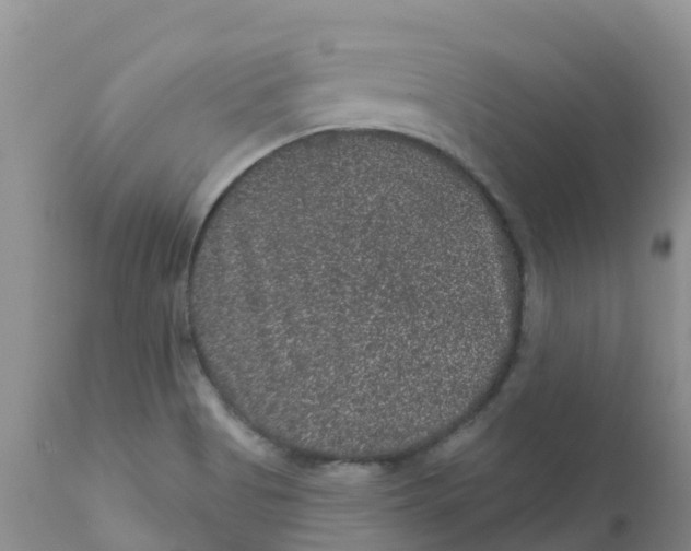 X0000111641513200908141355