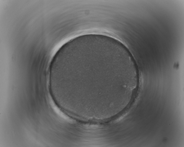 X0000111641515200908141355