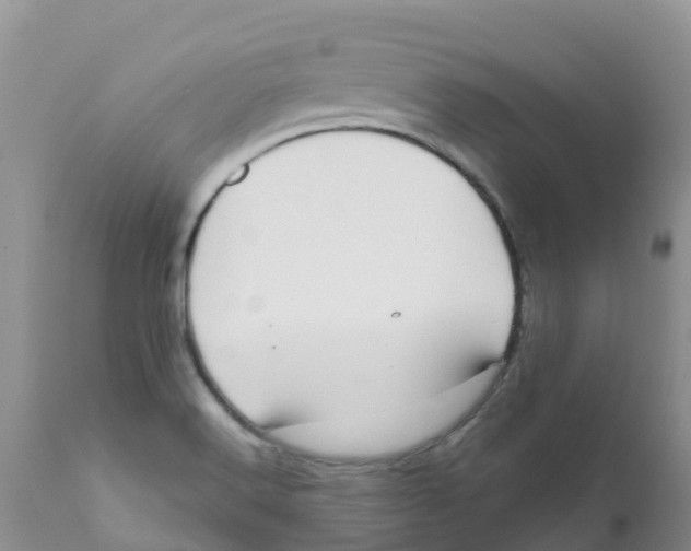 X0000111641516200908141355