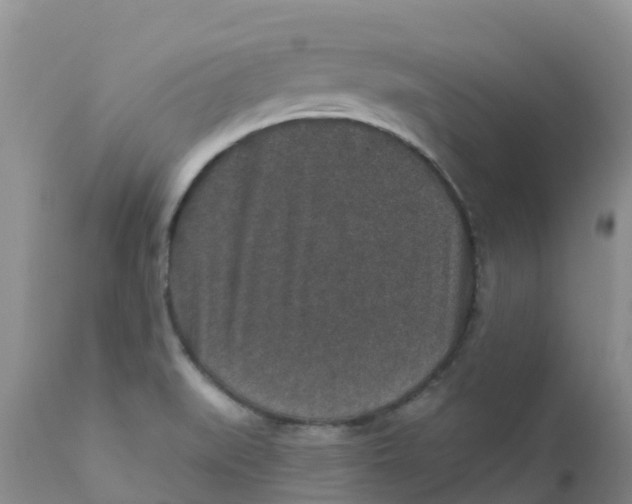 X0000111641519200908141355
