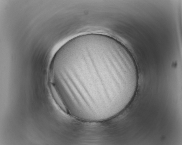 X0000111641520200908141355