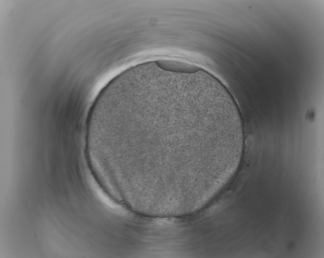 X0000111641523200908141355