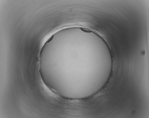 X0000111641524200908141355