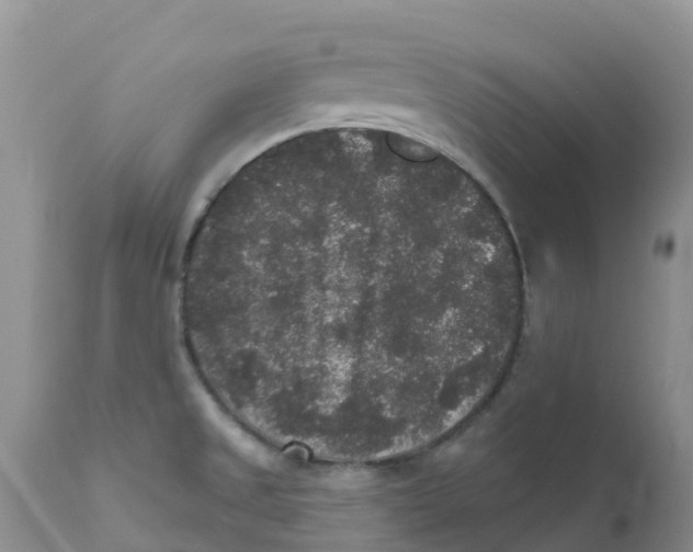 X0000111641525200908141355