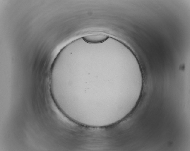 X0000111641526200908141355