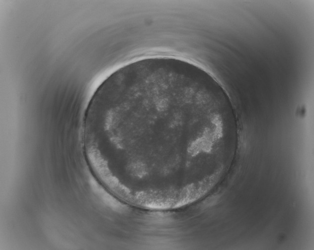 X0000111641527200908141355