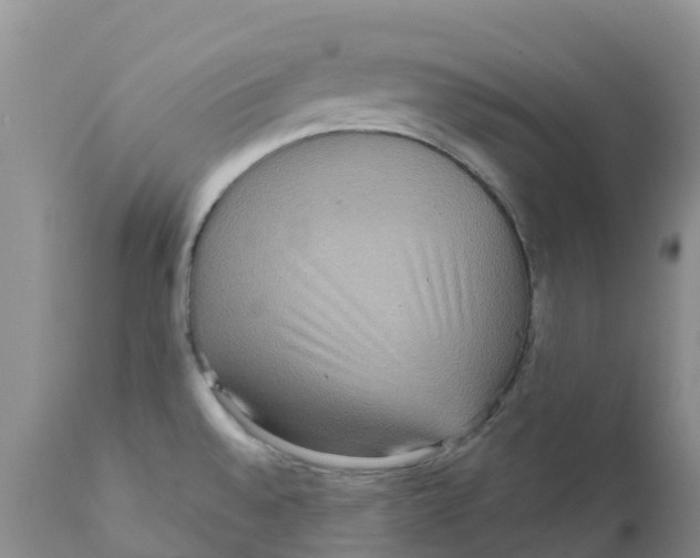 X0000111641528200908141355