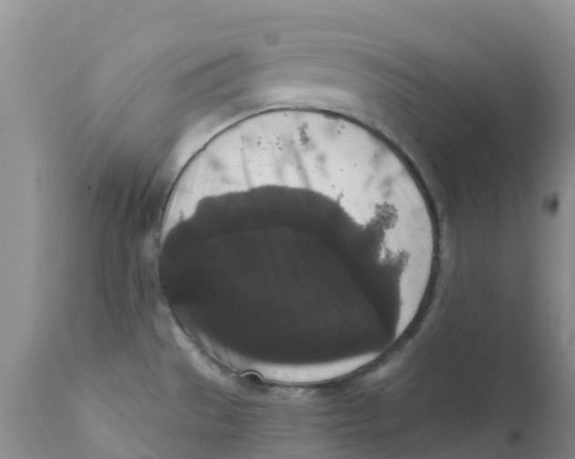X0000111641529200908141355