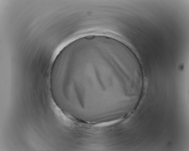 X0000111641530200908141355