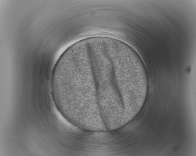 X0000111641531200908141355