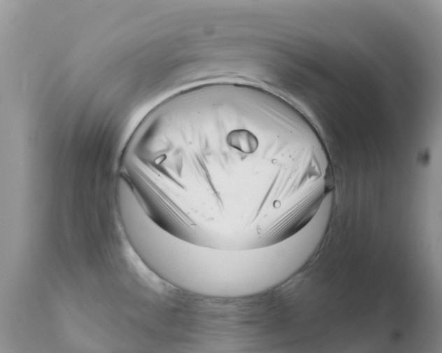 X0000111641532200908141355
