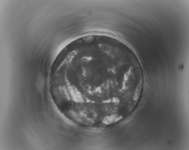 X0000111641533200908141355