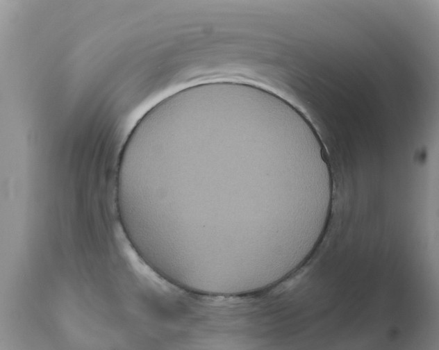 X0000111641534200908141355