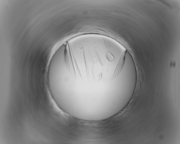 X0000111641536200908141355