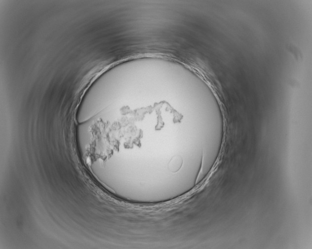 X0000111640001200908281207