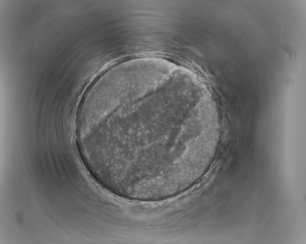 X0000111640002200908281207