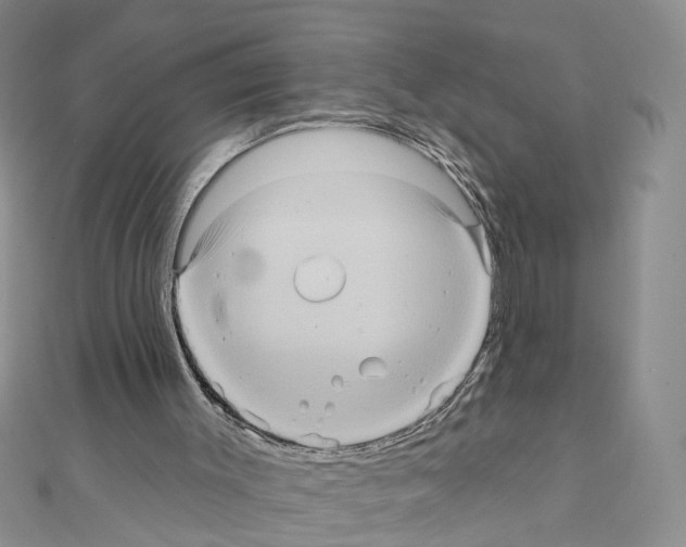 X0000111640003200908281207