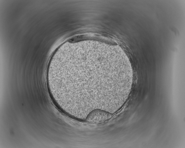 X0000111640004200908281207