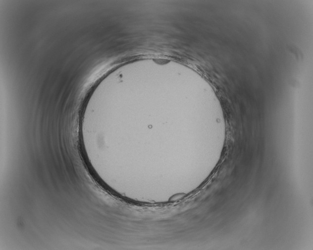 X0000111640005200908281207