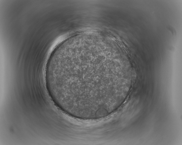 X0000111640006200908281207