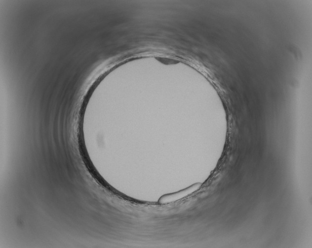 X0000111640007200908281207