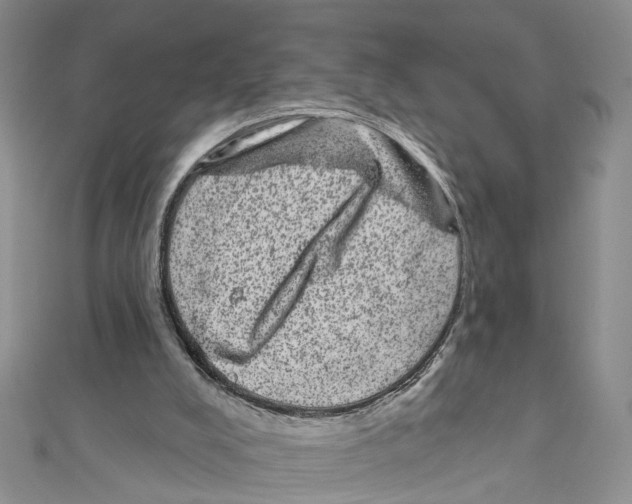 X0000111640008200908281207