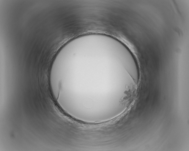 X0000111640009200908281207