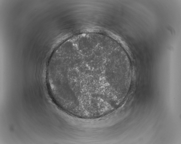 X0000111640010200908281207