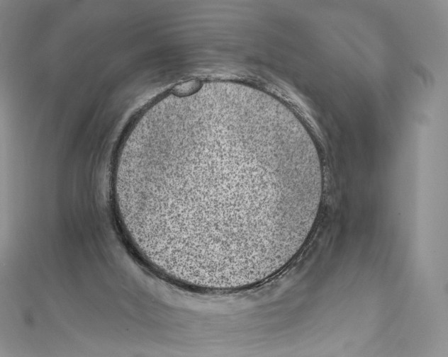 X0000111640012200908281207