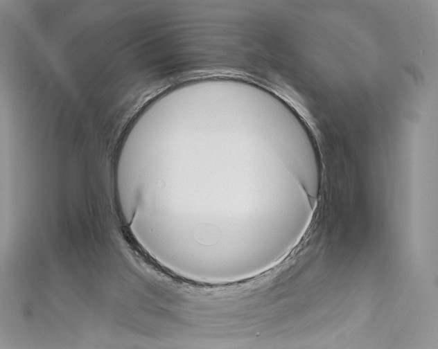 X0000111640013200908281207