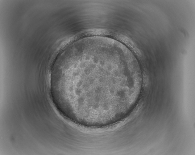 X0000111640014200908281207