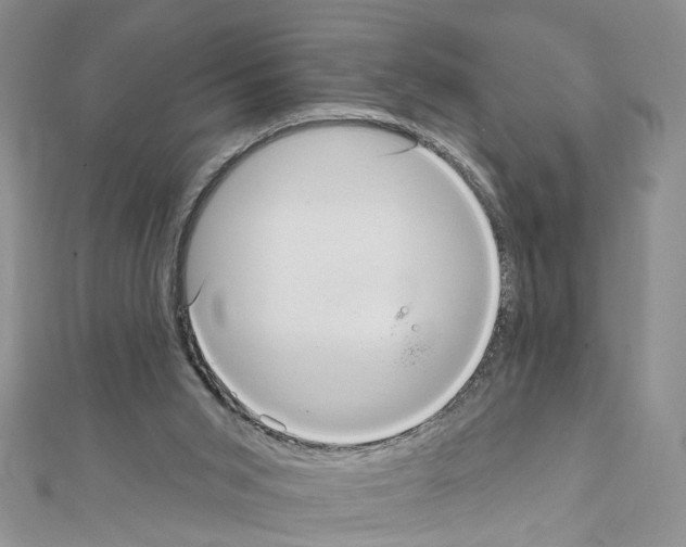X0000111640015200908281207
