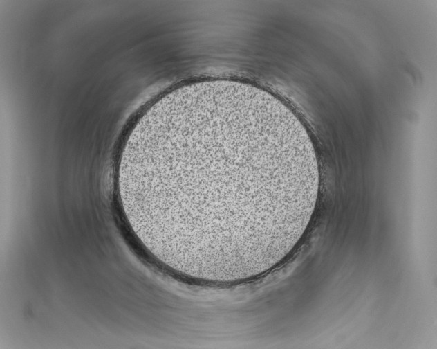 X0000111640016200908281207