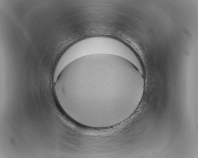X0000111640017200908281207