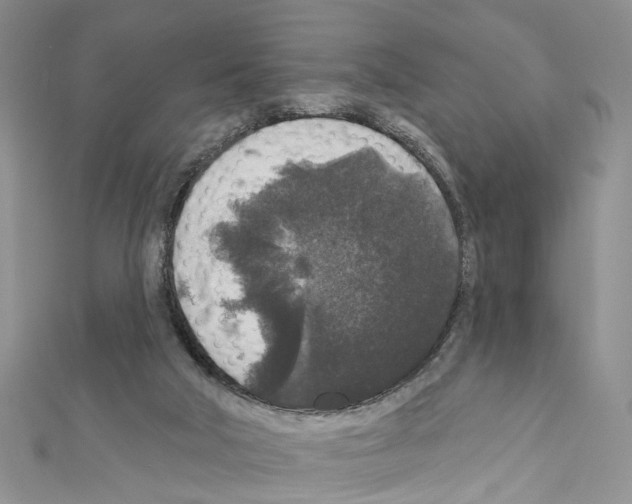X0000111640018200908281207