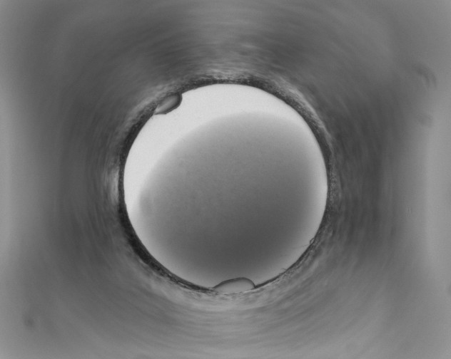 X0000111640019200908281207
