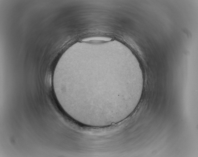 X0000111640021200908281207