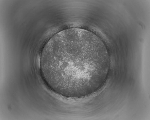 X0000111640022200908281207