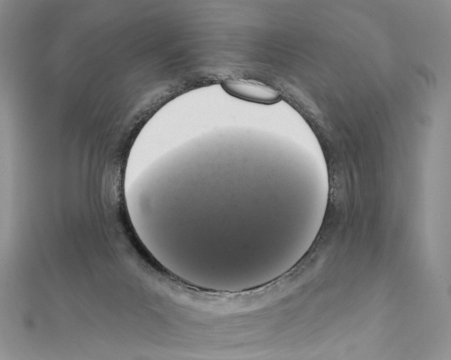 X0000111640023200908281207