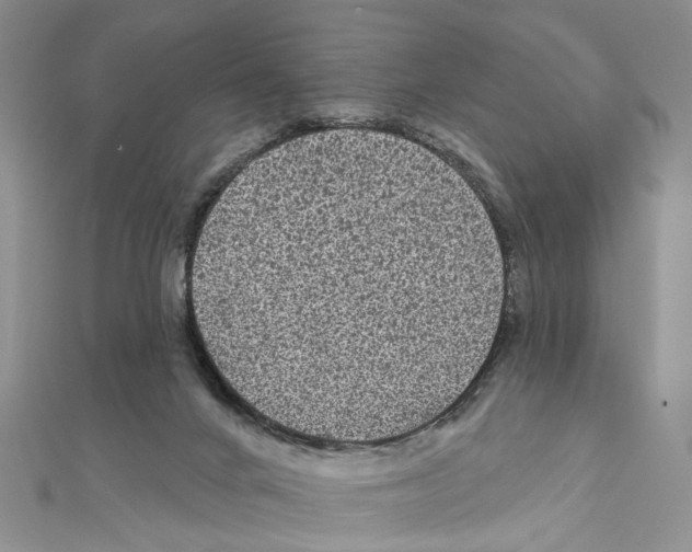 X0000111640024200908281207
