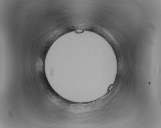 X0000111640025200908281207