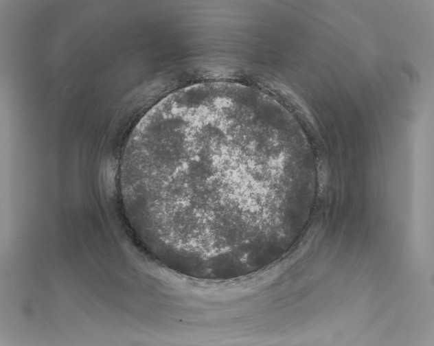 X0000111640026200908281207