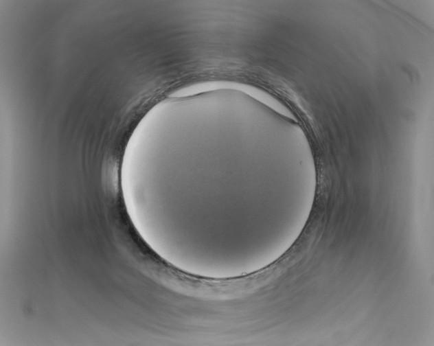 X0000111640027200908281207