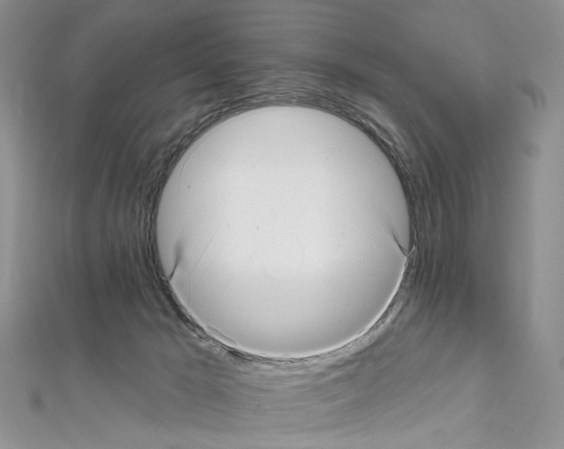 X0000111640029200908281207