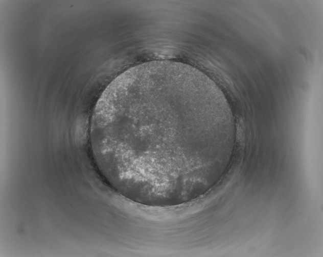 X0000111640030200908281207
