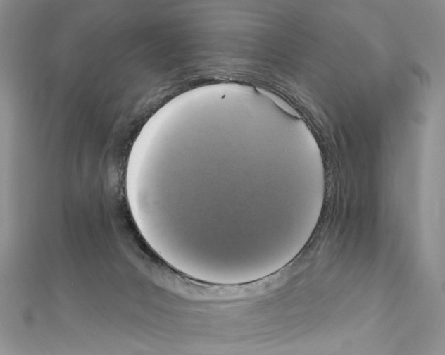 X0000111640031200908281207