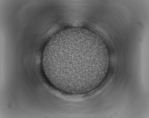 X0000111640032200908281207