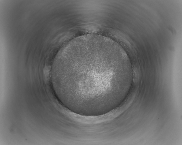 X0000111640034200908281207
